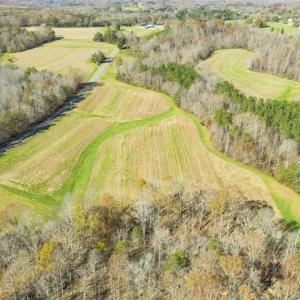 Photo of 41.32 Acres of Farm and Hunting Land for Sale in Rockingham County NC!