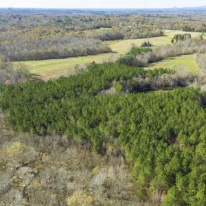 Photo of 41.32 Acres of Farm and Hunting Land for Sale in Rockingham County NC!