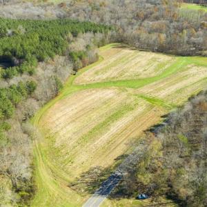 Photo of 41.32 Acres of Farm and Hunting Land for Sale in Rockingham County NC!