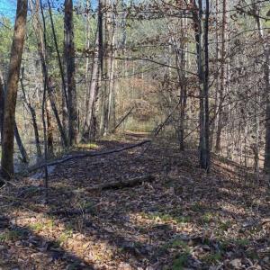 Photo of 41.32 Acres of Farm and Hunting Land for Sale in Rockingham County NC!
