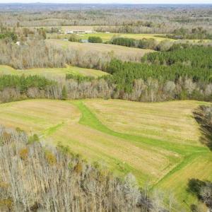 Photo of 41.32 Acres of Farm and Hunting Land for Sale in Rockingham County NC!