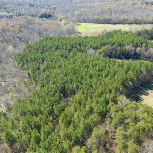 Photo of 41.32 Acres of Farm and Hunting Land for Sale in Rockingham County NC!