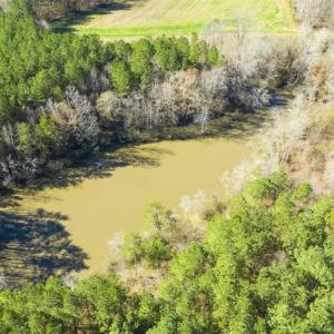 Photo of 41.32 Acres of Farm and Hunting Land for Sale in Rockingham County NC!