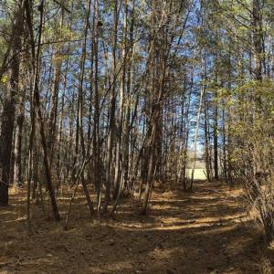 Photo of 41.32 Acres of Farm and Hunting Land for Sale in Rockingham County NC!