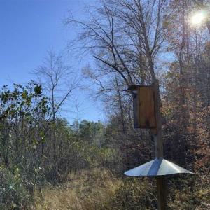 Photo of 41.32 Acres of Farm and Hunting Land for Sale in Rockingham County NC!