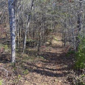 Photo of 41.32 Acres of Farm and Hunting Land for Sale in Rockingham County NC!