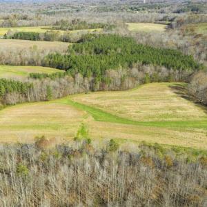 Photo of 41.32 Acres of Farm and Hunting Land for Sale in Rockingham County NC!