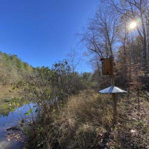 Photo of 41.32 Acres of Farm and Hunting Land for Sale in Rockingham County NC!