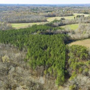 Photo of 41.32 Acres of Farm and Hunting Land for Sale in Rockingham County NC!