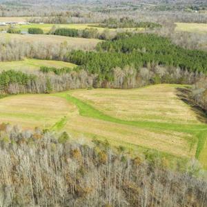 Photo of 41.32 Acres of Farm and Hunting Land for Sale in Rockingham County NC!