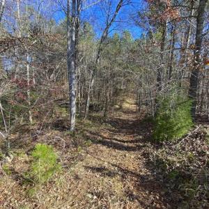 Photo of 41.32 Acres of Farm and Hunting Land for Sale in Rockingham County NC!