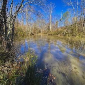 Photo of 41.32 Acres of Farm and Hunting Land for Sale in Rockingham County NC!
