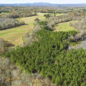 Photo of 41.32 Acres of Farm and Hunting Land for Sale in Rockingham County NC!