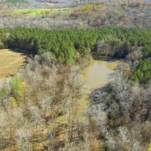 Photo of 41.32 Acres of Farm and Hunting Land for Sale in Rockingham County NC!