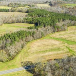 Photo of 41.32 Acres of Farm and Hunting Land for Sale in Rockingham County NC!