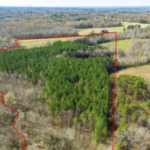 Photo of 41.32 Acres of Farm and Hunting Land for Sale in Rockingham County NC!