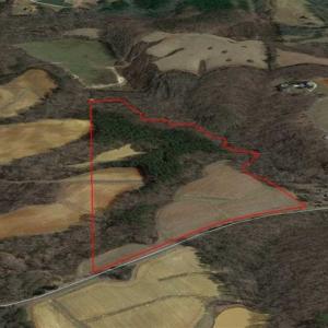 Photo of 41.32 Acres of Farm and Hunting Land for Sale in Rockingham County NC!