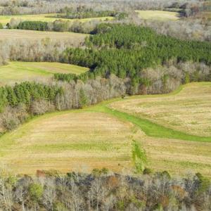Photo of 41.32 Acres of Farm and Hunting Land for Sale in Rockingham County NC!