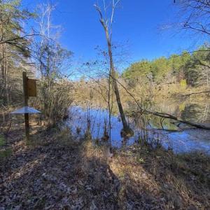 Photo of 41.32 Acres of Farm and Hunting Land for Sale in Rockingham County NC!