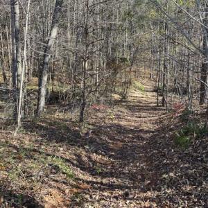 Photo of 41.32 Acres of Farm and Hunting Land for Sale in Rockingham County NC!