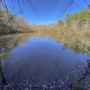 Photo of 41.32 Acres of Farm and Hunting Land for Sale in Rockingham County NC!