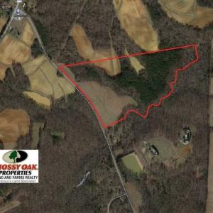 Photo of 41.32 Acres of Farm and Hunting Land for Sale in Rockingham County NC!