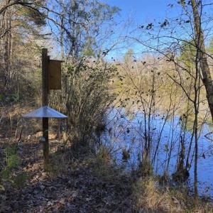 Photo of 41.32 Acres of Farm and Hunting Land for Sale in Rockingham County NC!