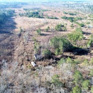 Photo of 166 acres of Timberland For Sale in Pitt County NC!