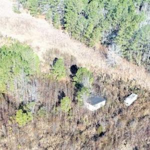 Photo of 166 acres of Timberland For Sale in Pitt County NC!