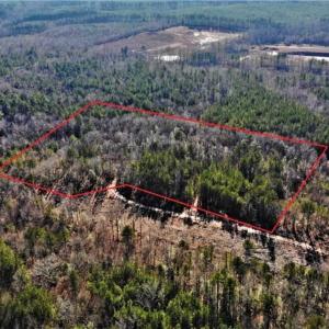 Photo of UNDER CONTRACT!!  7.94 acres of Hunting and Residential Land for Sale in Brunswick County VA!