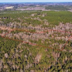 Photo of UNDER CONTRACT!!  7.94 acres of Hunting and Residential Land for Sale in Brunswick County VA!