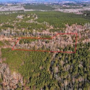 Photo of UNDER CONTRACT!!  7.94 acres of Hunting and Residential Land for Sale in Brunswick County VA!