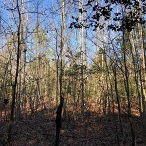 Photo of UNDER CONTRACT!!  7.94 acres of Hunting and Residential Land for Sale in Brunswick County VA!