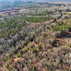 Photo of UNDER CONTRACT!!  7.94 acres of Hunting and Residential Land for Sale in Brunswick County VA!