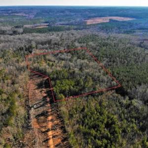 Photo of UNDER CONTRACT!!  7.94 acres of Hunting and Residential Land for Sale in Brunswick County VA!