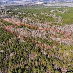 Photo of UNDER CONTRACT!!  7.94 acres of Hunting and Residential Land for Sale in Brunswick County VA!