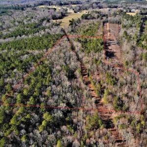 Photo of UNDER CONTRACT!!  7.94 acres of Hunting and Residential Land for Sale in Brunswick County VA!