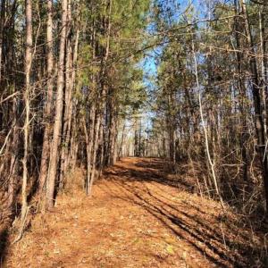 Photo of UNDER CONTRACT!!  7.94 acres of Hunting and Residential Land for Sale in Brunswick County VA!