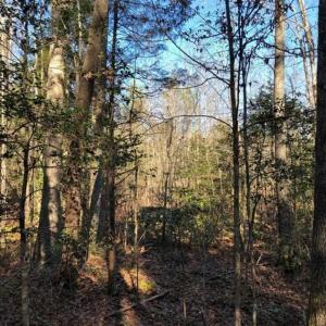 Photo of UNDER CONTRACT!!  7.94 acres of Hunting and Residential Land for Sale in Brunswick County VA!