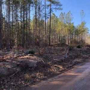 Photo of UNDER CONTRACT!!  7.94 acres of Hunting and Residential Land for Sale in Brunswick County VA!