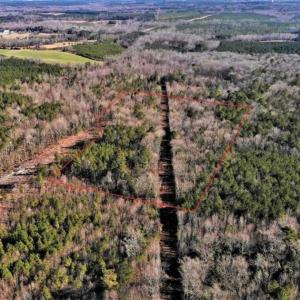 Photo of UNDER CONTRACT!!  7.94 acres of Hunting and Residential Land for Sale in Brunswick County VA!