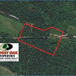 Photo of UNDER CONTRACT!!  7.94 acres of Hunting and Residential Land for Sale in Brunswick County VA!