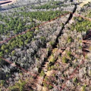 Photo of UNDER CONTRACT!!  7.94 acres of Hunting and Residential Land for Sale in Brunswick County VA!