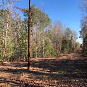 Photo of UNDER CONTRACT!!  7.94 acres of Hunting and Residential Land for Sale in Brunswick County VA!