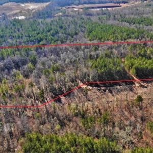 Photo of UNDER CONTRACT!!  7.94 acres of Hunting and Residential Land for Sale in Brunswick County VA!