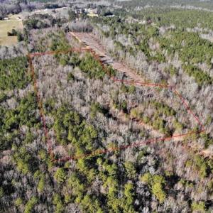 Photo of UNDER CONTRACT!!  7.94 acres of Hunting and Residential Land for Sale in Brunswick County VA!