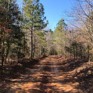 Photo of UNDER CONTRACT!!  7.94 acres of Hunting and Residential Land for Sale in Brunswick County VA!