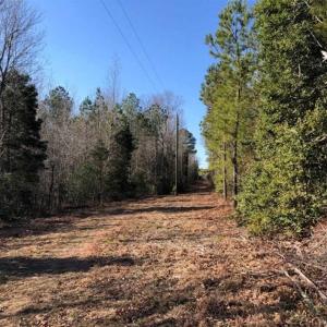 Photo of UNDER CONTRACT!!  7.94 acres of Hunting and Residential Land for Sale in Brunswick County VA!