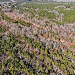 Photo of UNDER CONTRACT!!  7.94 acres of Hunting and Residential Land for Sale in Brunswick County VA!