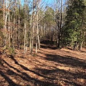 Photo of UNDER CONTRACT!!  7.94 acres of Hunting and Residential Land for Sale in Brunswick County VA!